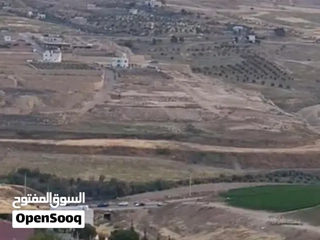 Farm Land for Sale in Mafraq Other