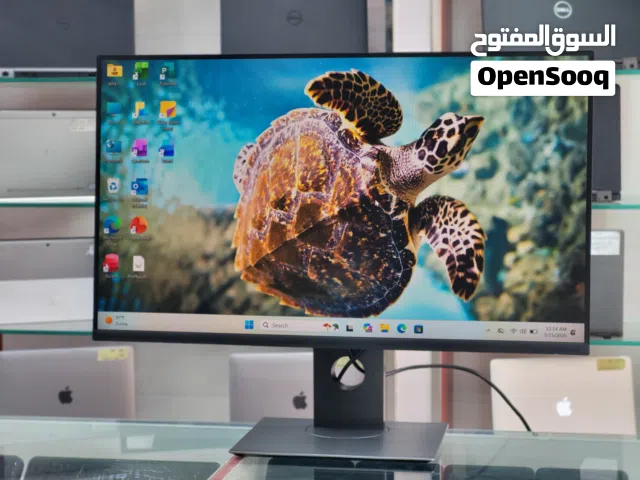 dell 24 inch borderless FHD ips monitor