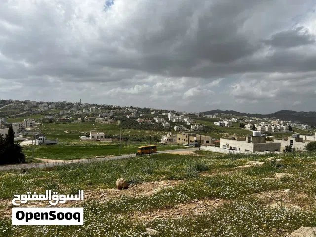 Residential Land for Sale in Amman Shafa Badran