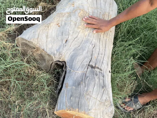 حطب سمر للبيع