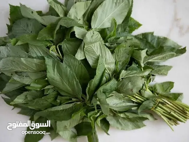 ملوووخيه جاهزه للطبخ او تفريزززز فرم على اليد ناعممم السعر حسب الكميه المطلوبه