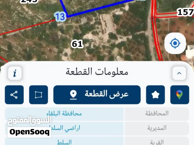 أرض مميزة للبيع في السلط 30 الف للدونم – 5 دونم  واجهة ممتازة واصل جميع الخدمات
