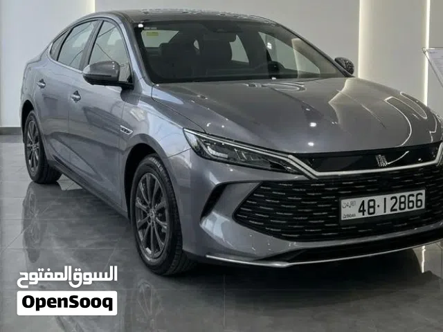 2024, بي واي دي, كين