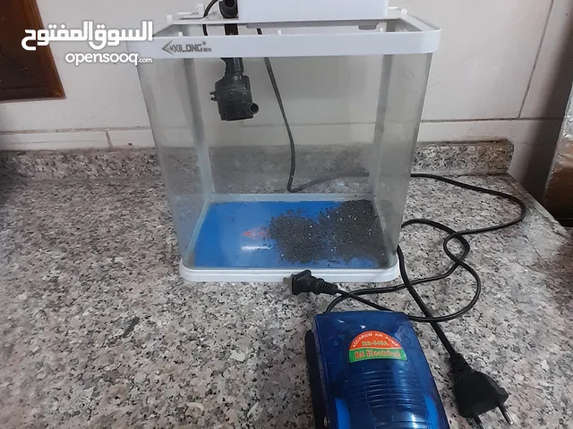 حوض سمك صغير + مضخة هواء RS‐348A