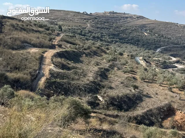 Mixed Use Land for Sale in Tulkarm Bal'a