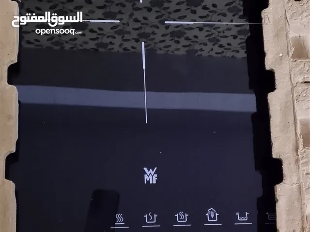 induction stove (electric)