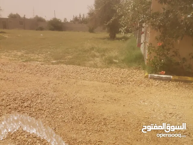 6000 متر في القويعة من المالك