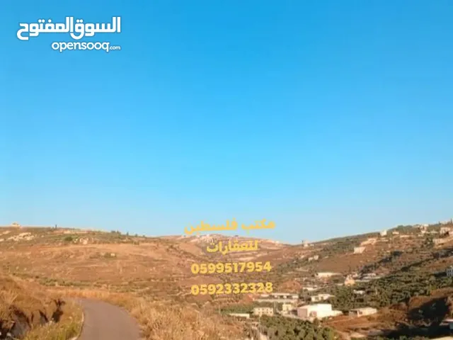 ارض كوشان مستقل في اجمل اراضي العامرية قرب منتجع ART حوض المفاجر منطقة فلل