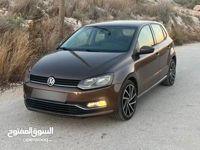 بولو جير عادي الحبة النادرة باللون و الجمال و الفحص
