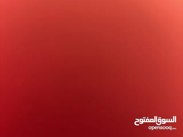 حزام امان سنتافي موديل 2019