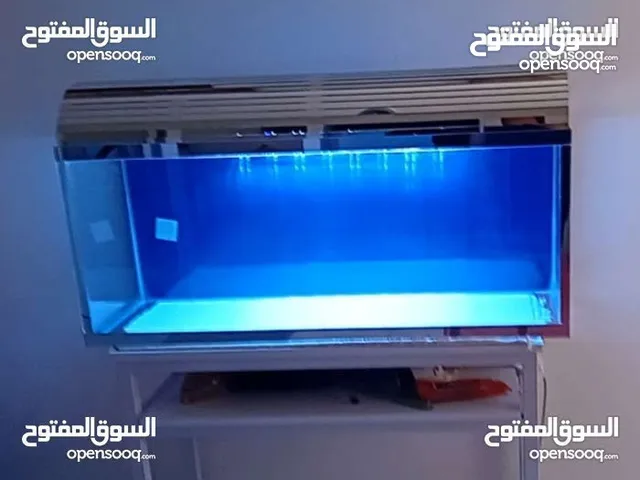 حوض سمك تفصيل جديد طول متر زجاج سعودي للبيع