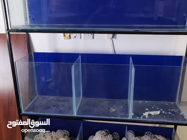 ثلاث أحوض سمك مع الرفوف للبيع / 3 fish tanks for sale with shelf