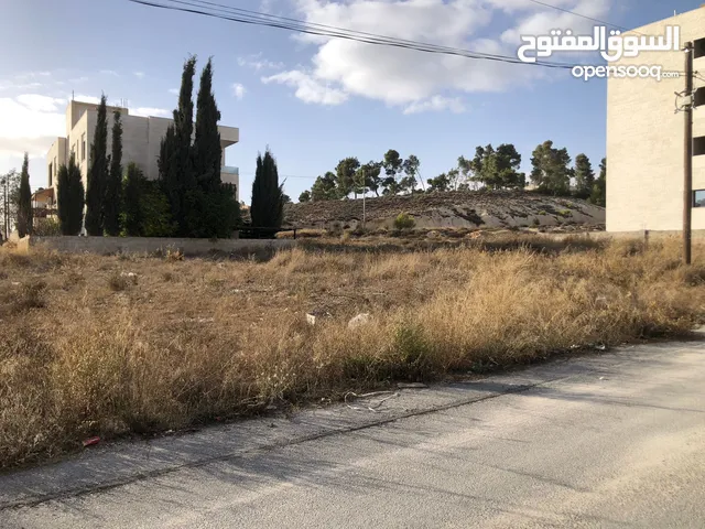 Residential Land for Sale in Amman Naour