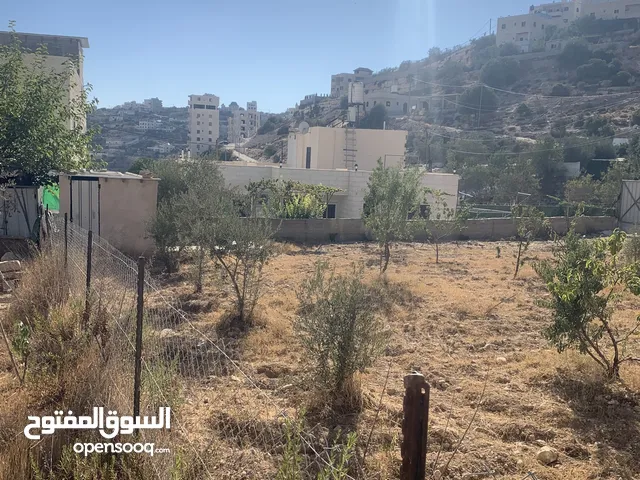 ارض للبيع مميزة في دويربان واد الزرزير