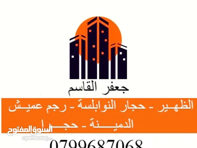 Residential Land for Sale in Amman Al-Dmenah