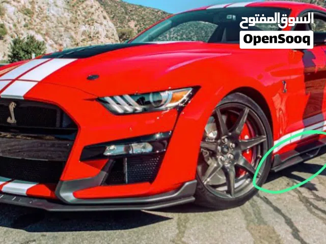 زوايد جانبيه مىستانج