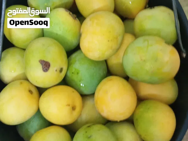 للبيع مانجو اصفر  مع التوصيل صحم فقط