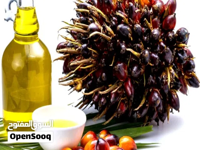 زيت النخيل الصالح للأكل منتج نيجيريا جودة عالیة و سعر عادل