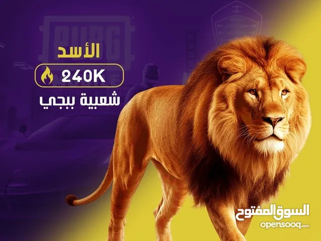 Pubg Accounts and Characters for Sale in Cairo