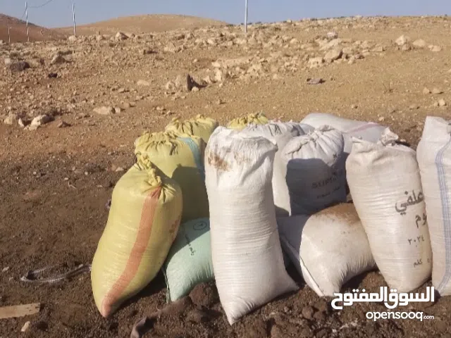 سماد زبل حلال للبيع