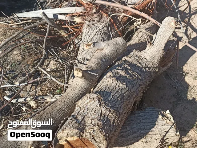 حطب شجر جيب سياره وارفع