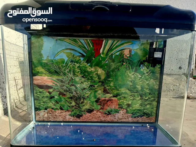 حوض سمك شبه جديد