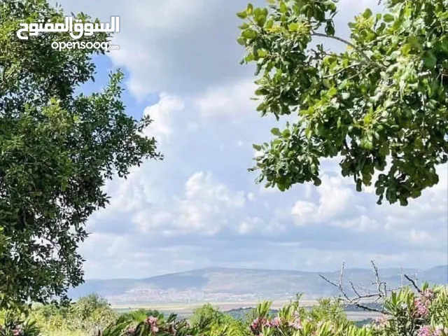 Commercial Land for Sale in Nablus Rafidia