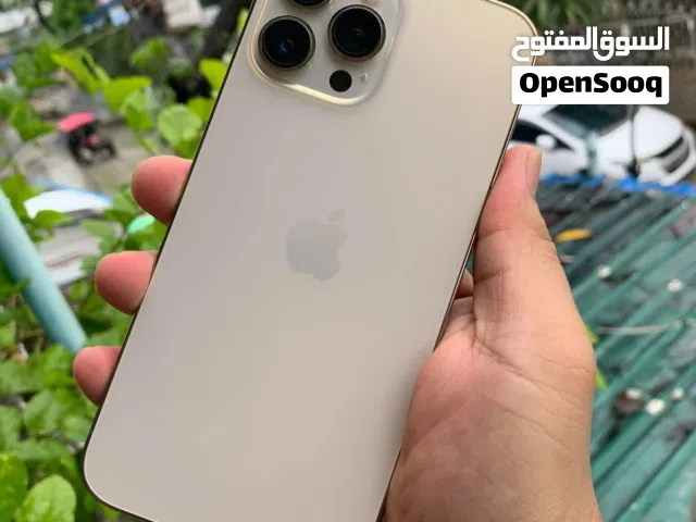 Iphone 13 Pro Max 256gb Colour Gold Everything is ok