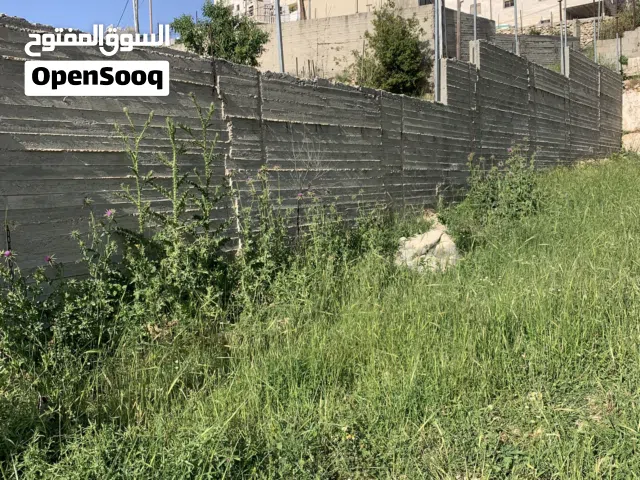 ارض للبيع في دويربان -واد الزرزير