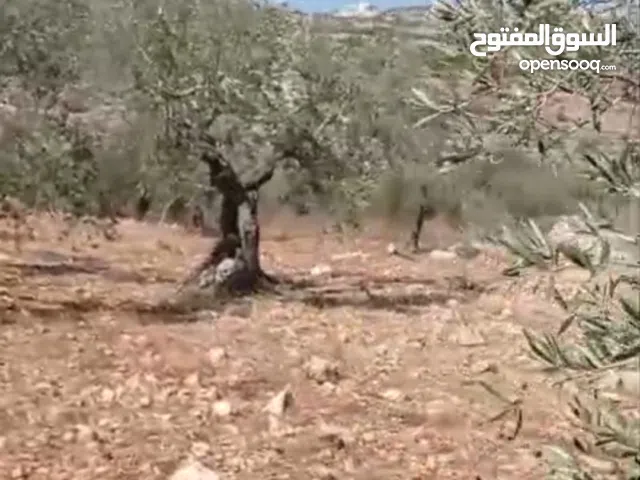 ارض للببع للبيناء  في كفر نعمه  مساحه 480متر  طابو سلطه