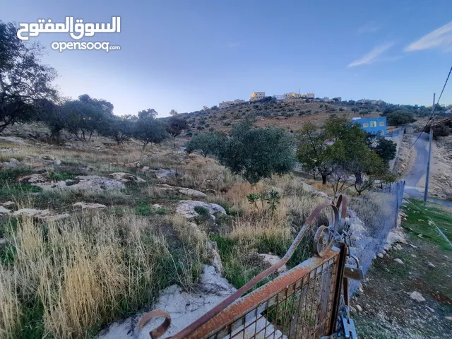 1 Bedroom Farms for Sale in Zarqa Sarout