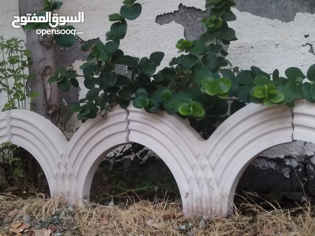 كورنيش حدائق او سياج حديقة