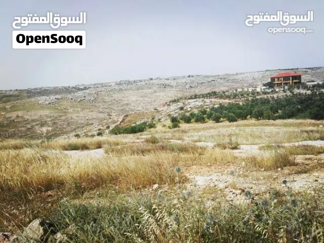 قطعة أرض زراعيّة تصلح لمزرعة بسعر مغري جدّاً