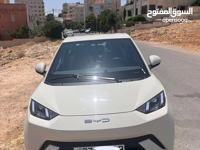 New BYD Seagull in Amman