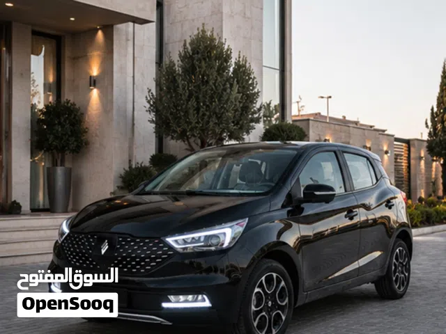 2026 جاي ام اي في EV3