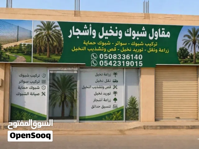 شبوك، نخيل، عربي، واشنطني، وجميع انواع الاشجار توريد وتركيب