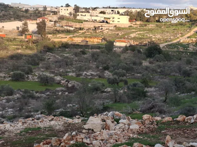 Mixed Use Land for Sale in Tulkarm Al Ras
