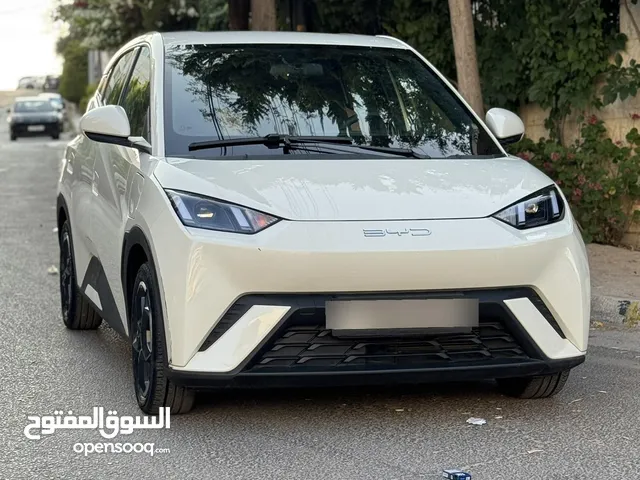 Used BYD Other in Amman