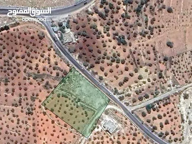 Mixed Use Land for Sale in Jerash Soof