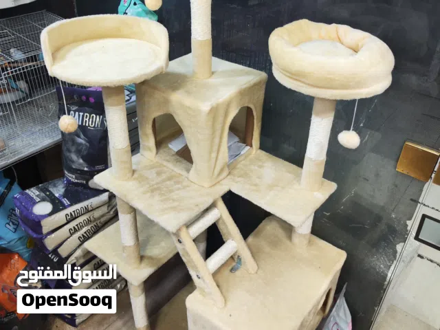 خداشه قطط جدا عملاقه للي عنده خمس بسس او ست بسس حتى 20 بسه مناسبه جدا