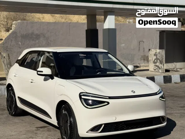 2023 Dongfeng Nammi Box