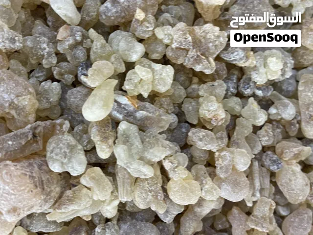 لبان عماني حوجري أصلي