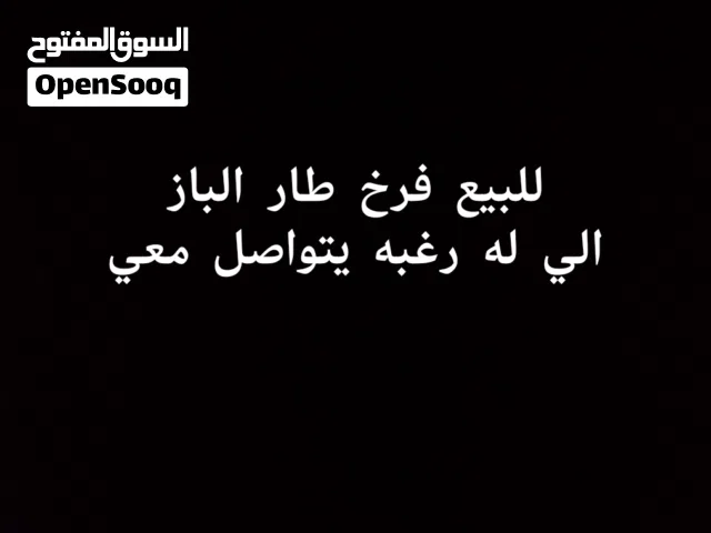اقرأ الوصف