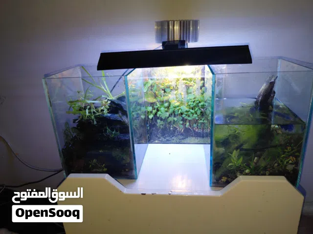 Fish Aquarium set