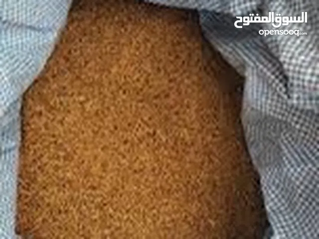 بذر قت (برسيم) عماني نظيف درجة أولى للبيع كمية محدودة