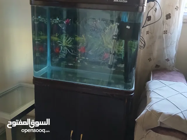 حوض سمك اجنبي