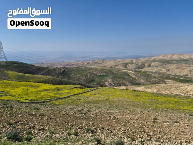 مادبا ماعين / غرب ماعين 21 دونم 125 الف ارض زراعية بمنطقة مرتفعه وذات أطلاله على البحر الميت والضفة