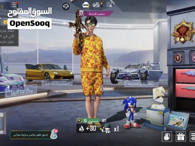 Pubg Accounts and Characters for Sale in Ras Al Khaimah