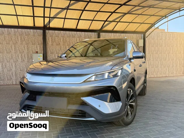 2025, بي واي دي, سونج برو