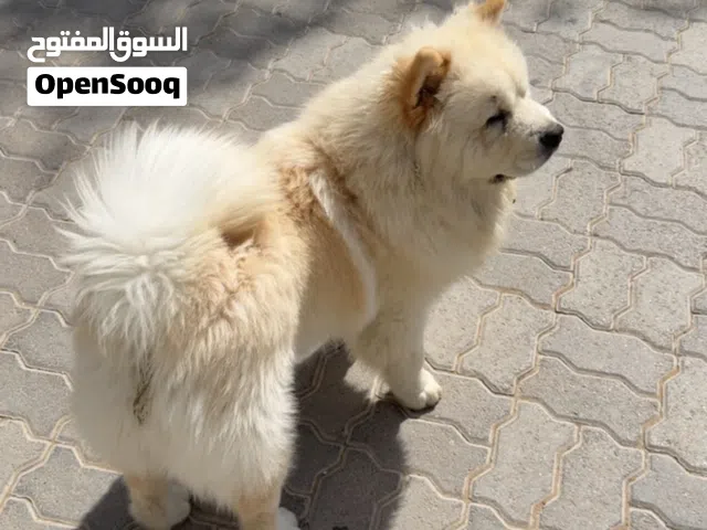 6month old